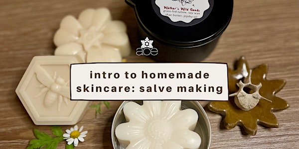 Intro to Homemade Skincare: Salve Making