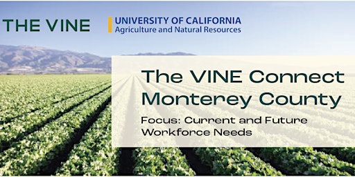 The Vine Connect - Monterey County primary image