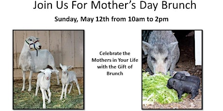 Mother's Day Brunch