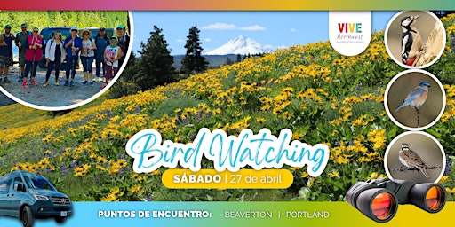 Imagem principal do evento ¡Prepara tus binoculares y avista una variedad de aves con Vive NW!