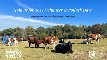 Imagem principal de Group Volunteer & Potluck Day