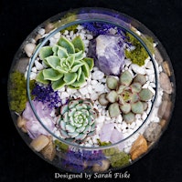 Hauptbild für Plant Nite: Make a Succulent Terrarium