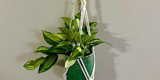 Macrame Plant Hanger at Koffee Paradise primary image