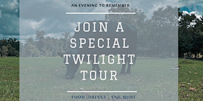 Imagen principal de Twilight Tour