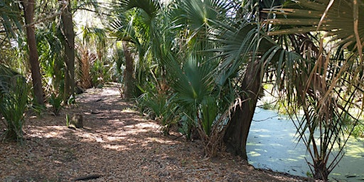 Primaire afbeelding van Ft. Clinch Willow Pond Hike