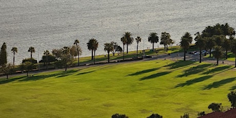 Revitalizing yoga in Langley park on Sunday morning