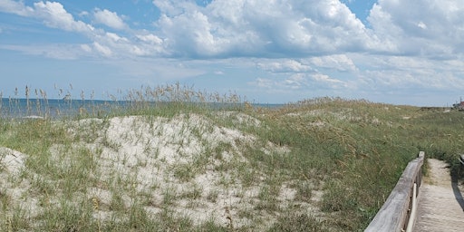 Image principale de Beach Tales at North Beach
