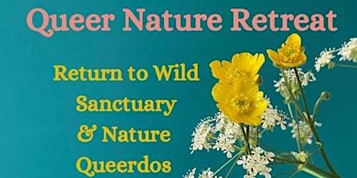 Imagem principal de Nature Queerdos & Return to Wild: Dartmoor Retreat