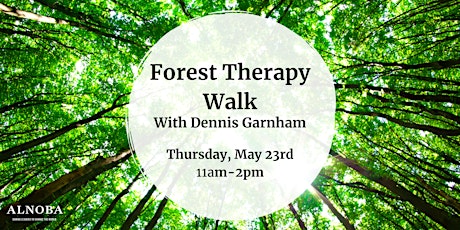 Forest Therapy Walk With Dennis Garnham