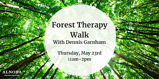 Imagem principal do evento Forest Therapy Walk With Dennis Garnham