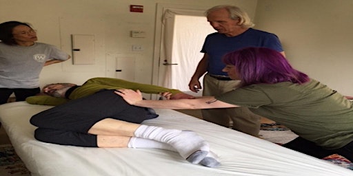 Imagem principal de Mastering Advanced Massage for the Professional Therapists  17 CEU