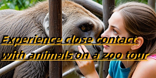 Experience close contact with animals on a zoo tour primary image