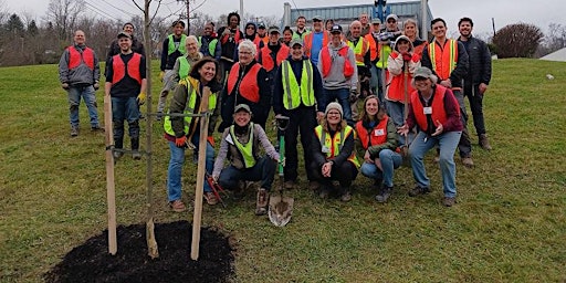 Imagem principal de Planting trees spreads the green city