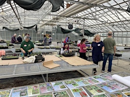 Seeds To Community April Up-Potting primary image