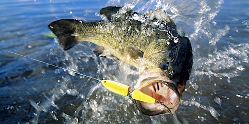 Imagem principal de Bass Tournament Fundraiser at Watts Bar for CASA of the TN Valley