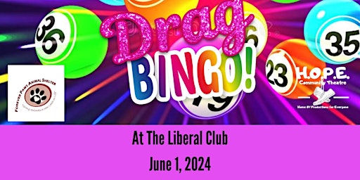 Primaire afbeelding van Drag Queen Bingo to Benefit Forever Paws Animal Shelter!