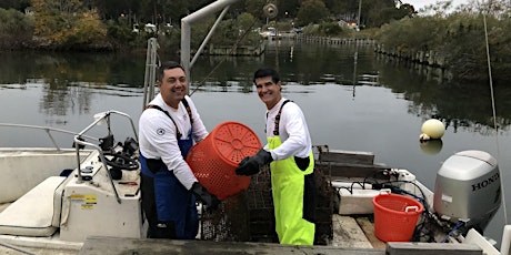 Oyster Farm Tour and Shucking Lesson