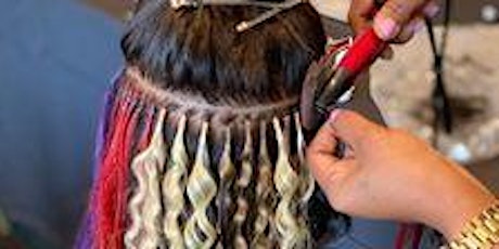 West Palm Beach FL | Hair Extension Class & Micro Link Class (7 Techniques)