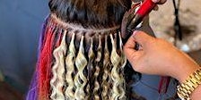 Primaire afbeelding van Boston MA | Hair Extension Class & Micro Link Class (7 Techniques)
