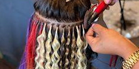 San Diego CA | Hair Extension Class & Micro Link Class (7 Techniques)