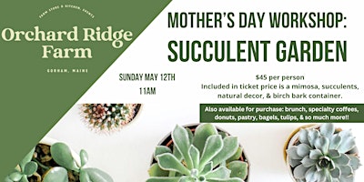 Imagem principal do evento Mother's Day Succulent Garden Workshop