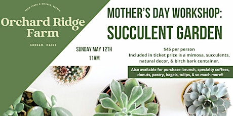 Mother's Day Succulent Garden Workshop