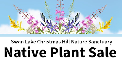 Imagen principal de Native Plant Sale at Swan Lake Nature Sanctuary