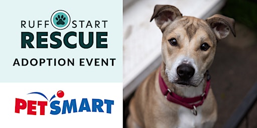 Immagine principale di Eden Prairie Petsmart Adoption Day Event 