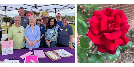 Spring Rose Show 2024 primary image