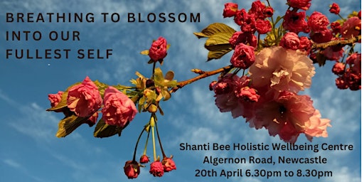 Imagem principal do evento CCB Breathwork - Breathing to Blossom into our Fullest Self