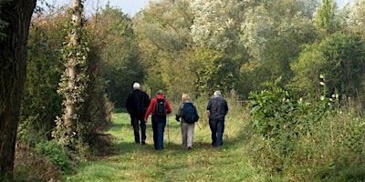 Guided Wildlife Observation & Drawing Walk