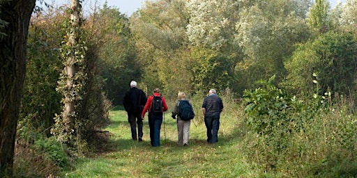 Hauptbild für Guided Wildlife Observation & Drawing Walk