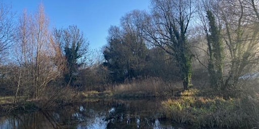 Imagem principal do evento Discover the World of Conservation Volunteering at Funges Meadow