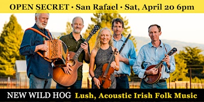 Imagen principal de New Wild Hog  - Lush, Acoustic Irish Folk Music