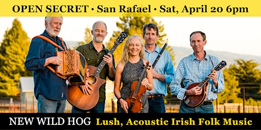 Imagem principal do evento New Wild Hog  - Lush, Acoustic Irish Folk Music