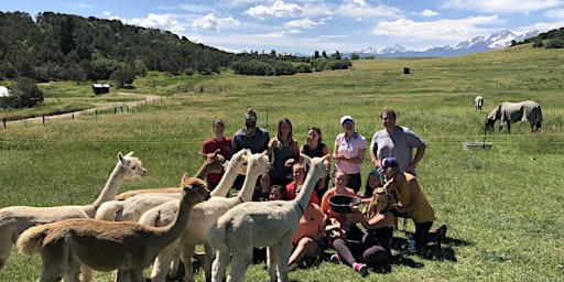 Kiss An Alpaca and learn to felt primary image