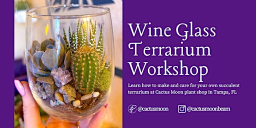 Primaire afbeelding van Wine Glass Succulent Terrarium Workshop