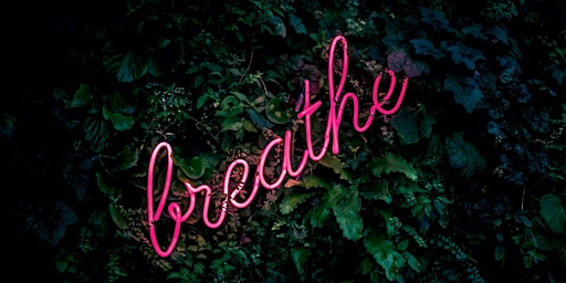 Monthly Small Group Breathwork Session  primärbild