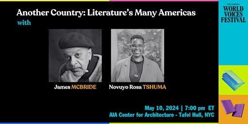 Primaire afbeelding van Another Country: Literature’s Many Americas
