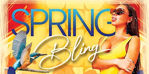 Hauptbild für SPRING BLING @ DOLCE LOUNGE