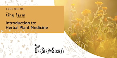 Imagem principal do evento Introduction to Herbal Medicine 2024