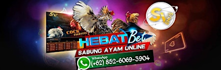 Daftar Sabung Ayam Online Philipina Server Indonesia 2024 - Hebatbet primary image