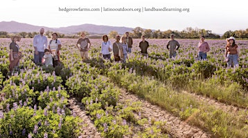 LO Sacramento Central Valley | Hedgerow Farms Tour  primärbild