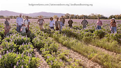 LO Sacramento Central Valley | Hedgerow Farms Tour
