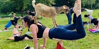 Immagine principale di Baby Goat Yoga Memorial Day 