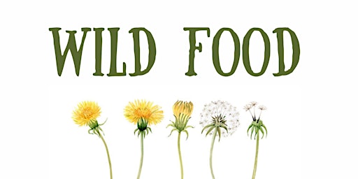 Free Wild and Medicinal Plant Walk 2 primary image