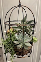 Succulent Planter Class primary image