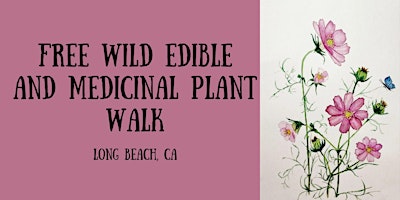 Primaire afbeelding van Free Wild Edible and Medicinal Plant Walk