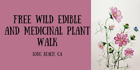 Free Wild Edible and Medicinal Plant Walk