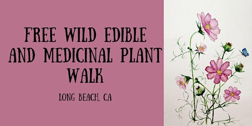 Free Wild Edible and Medicinal Plant Walk primary image